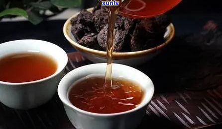 如何冲泡普洱茶并确定饮用时间