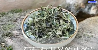 菊苣能和普洱茶一起喝吗