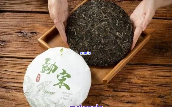 《普洱茶选购指南：从基础到深度，轻松挑选理想茶饼》