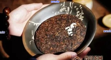 陈年熟普洱茶的口感怎么样？好喝吗？