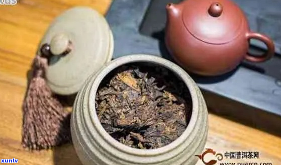 如何合理存和享用普洱茶？