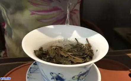 老茶客是什么意思 —— 探究老茶客茶叶、公司与短文解答