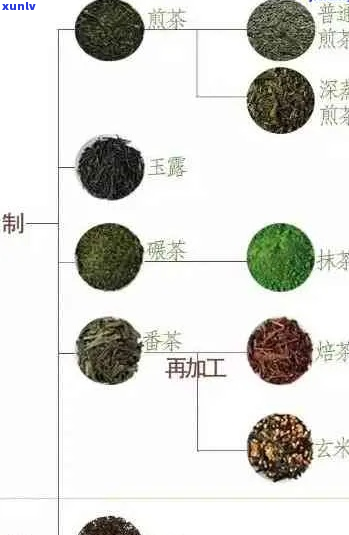 老茶客茶叶价格介绍及种类