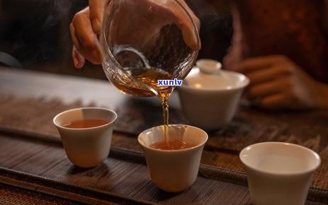 老茶客茶叶是什么茶