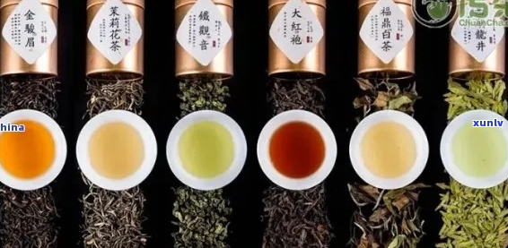 永泰茶叶精选指南：探索顶级茶品、冲泡 *** 与健益处