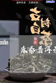 永泰普洱茶哪家好