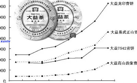 90年代普洱茶价值探究：市场现状与投资分析