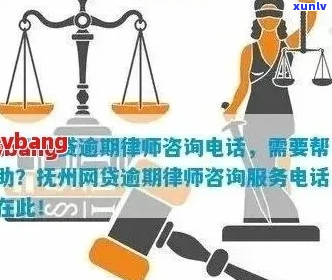 网贷期如何找律师