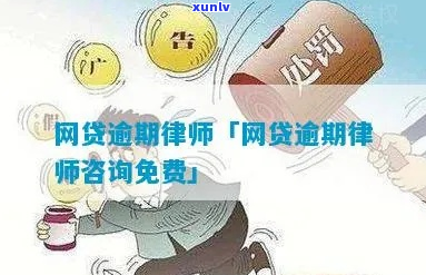 网贷期如何找律师