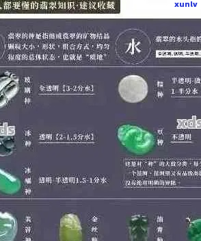 翡翠市场入门指南：品种、等级与价格全面解读