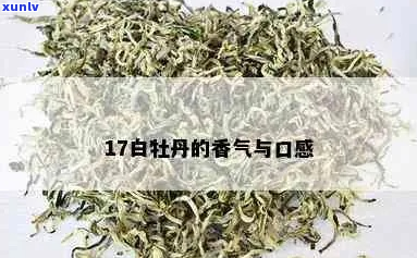 探索白牡丹的味蕾奇遇