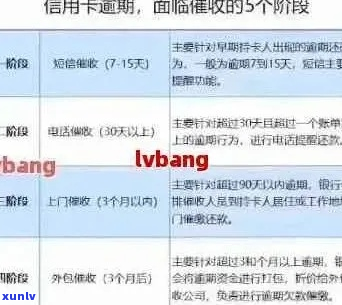 信用卡网贷逾期处理收费标准是多少