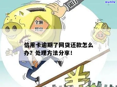 信用卡网贷逾期处理收费标准是多少