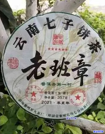 新探索中茶老班章2021年份：精选原料与工艺的完美结合