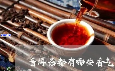 普洱茶香气以啥为好