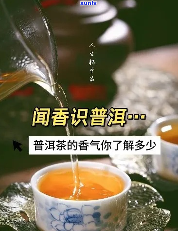 普洱茶香气以啥为好