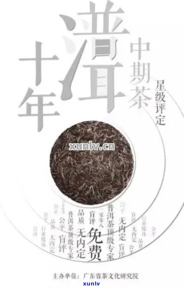 标题建议：探索普洱茶的深厚文化与独特魅力——茶香、历与品鉴技巧