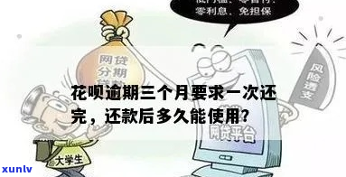 花呗逾期一万三个月后果如何处理