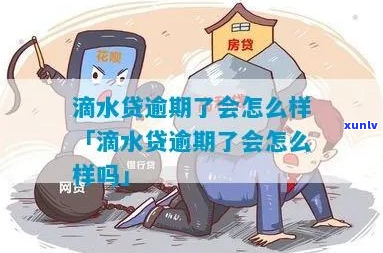 滴水贷逾期了半小时该怎么办