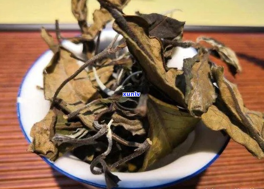 大叶种白茶是古树茶吗？探讨其作为古树茶的特质及其益处