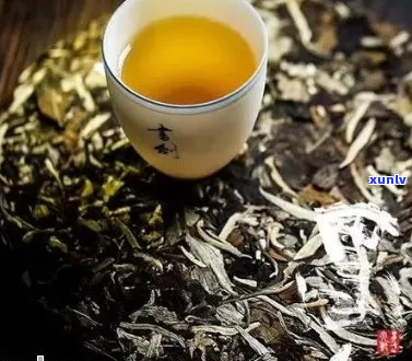 大叶种白茶是否属于普洱茶的分类？全面解析其与普洱的关系