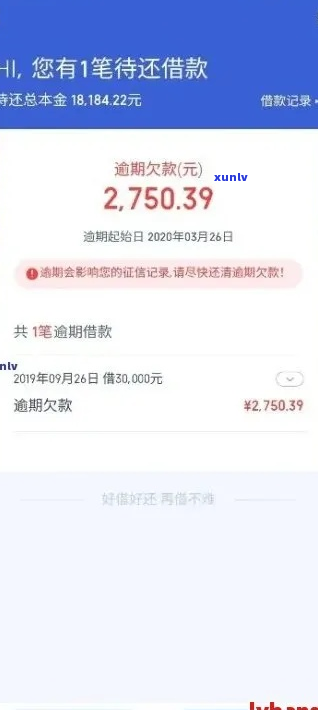 网商银行逾期一次性结清规定及流程详解