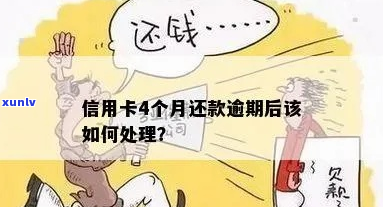 逾期如何处理信用卡还款