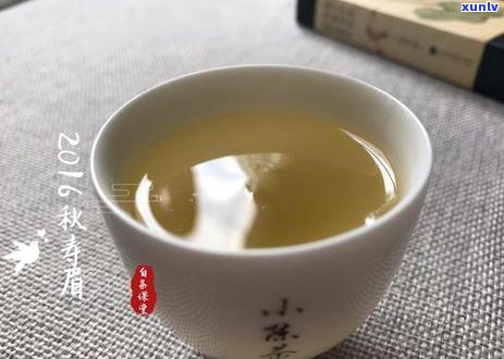 时饮用普洱茶指南：全面解析何时喝茶最有益于健