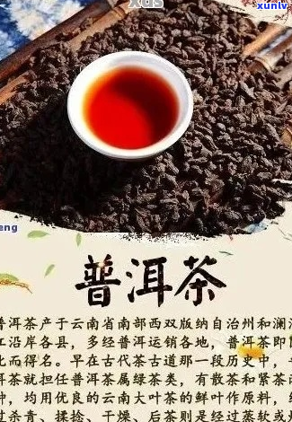 揭秘全球更受欢迎的普洱茶：谁是之一名？