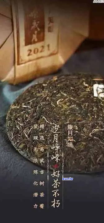 岁月普洱茶多少钱