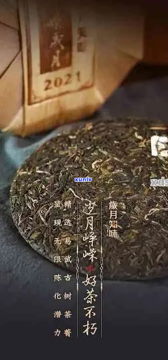 岁月留香：品鉴正宗普洱茶，探索千年茶文化的精髓