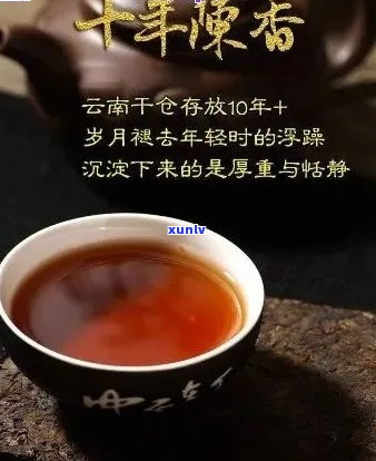 岁月留香：品鉴正宗普洱茶，探索千年茶文化的精髓