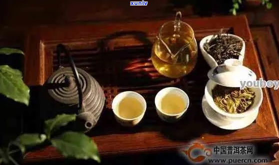 【岁月情愫】珍藏普洱茶，品鉴时光流转的味道