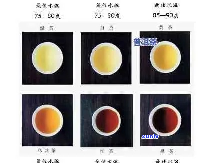 全面掌握普洱茶水分含量：科学检测 *** 与实用指南