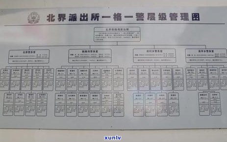 平安信用卡逾期本金减免申请流程及注意事项