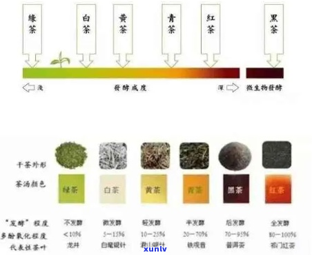 全面掌握普洱茶水分含量：科学检测 *** 与实用指南