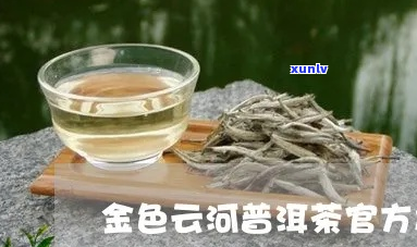 金色云河茶厂可以吗喝什么茶脱脂