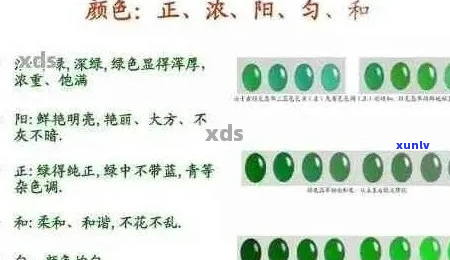 翡翠鉴赏指南：全面解析翡翠品相的评判标准