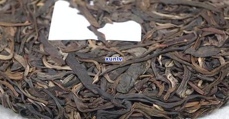 普洱茶其它山头是什么茶