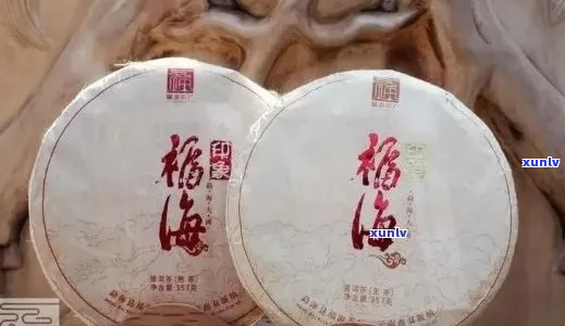 福海普洱茶：品种全解与鉴赏指南