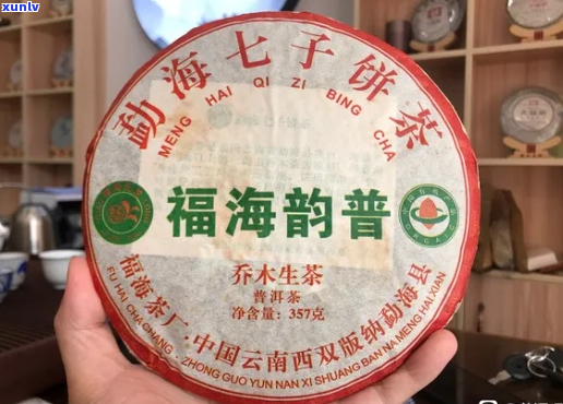 福海普洱茶的种类