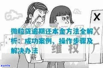 微粒贷无力偿还真实案例怎么处理-微粒贷无力偿还真实案例怎么处理的