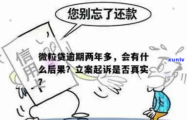 微粒贷无力偿还真实案例怎么处理-微粒贷无力偿还真实案例怎么处理的