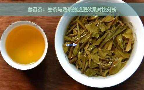 普洱茶减肥效果探究：熟茶与生茶的减肥对比分析