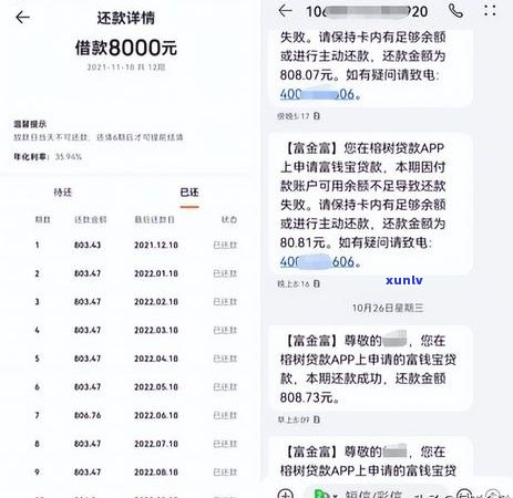 富宝袋多久到短信的 *** 是什么-富宝袋怎么样能下款吗