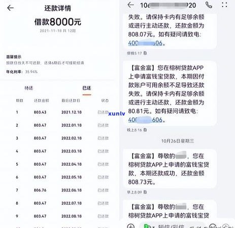 富宝袋多久到短信的 *** 是什么-富宝袋怎么样能下款吗