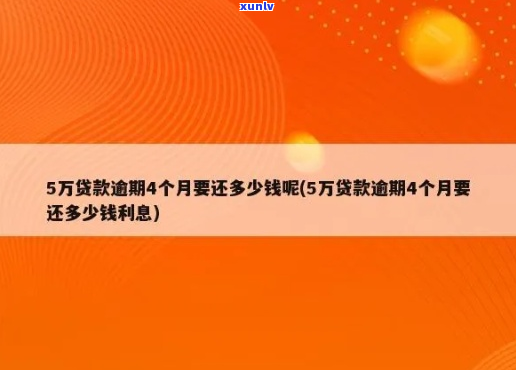 每月5万贷款还不上怎么办-每月5万贷款还不上怎么办呢