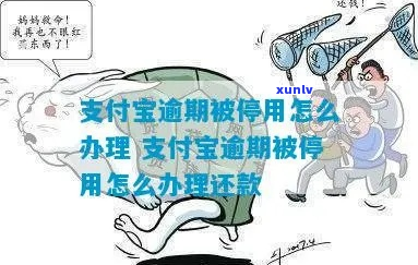 支付宝逾期协商停催怎么办理-支付宝逾期协商解决