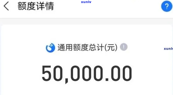 欠支付宝10000半年没还如何解决-欠支付宝一万多一年没还会怎么样