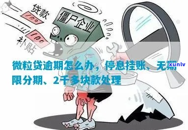 微粒贷招联逾期如何处理-微粒贷招联逾期如何处理的